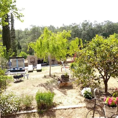 Violla Holiday home *