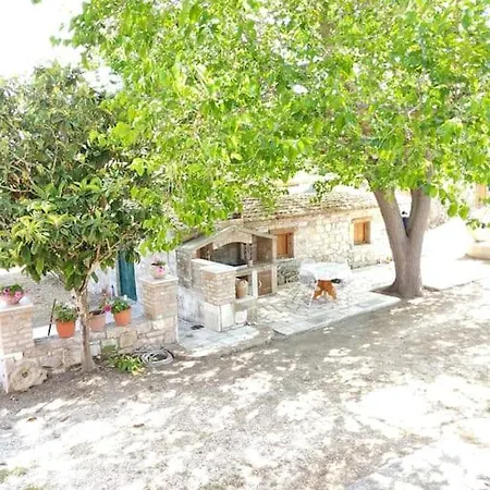 Violla